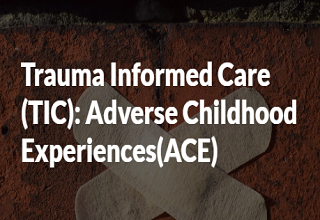 SHC Trauma Informed Care: Adverse Childhood Experiences(ACE) 2022 - Online Banner